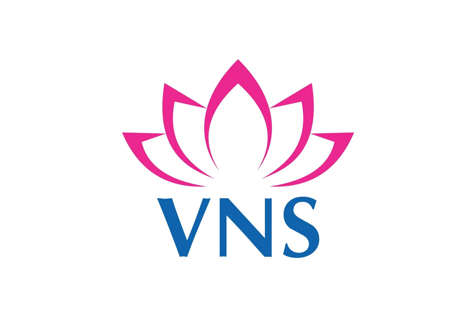 VNS Restaurant Logo